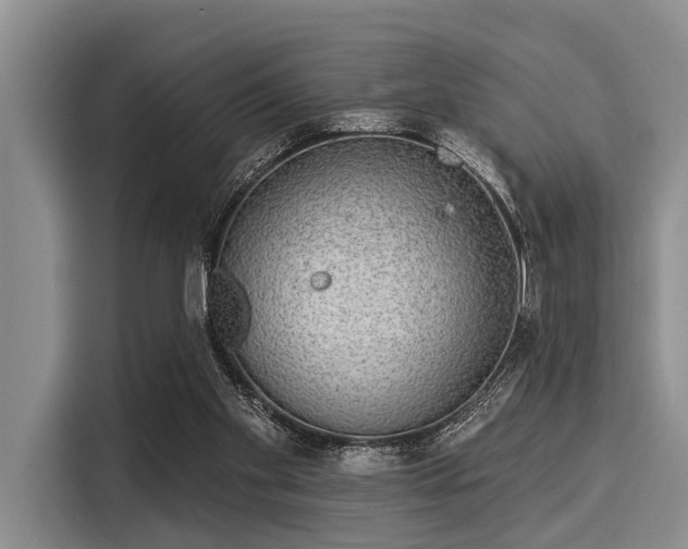 X0000116040109200911271206