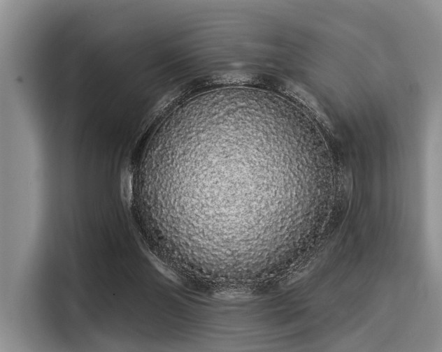 X0000116040110200911271206