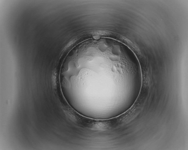 X0000116040111200911271206