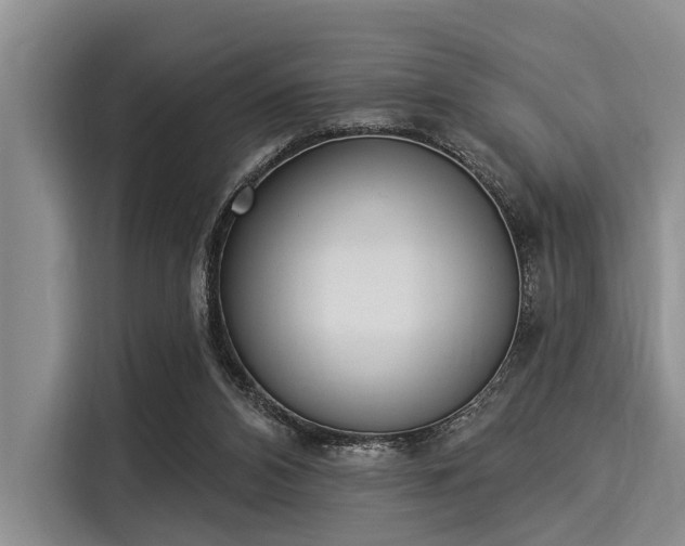 X0000116040112200911271206