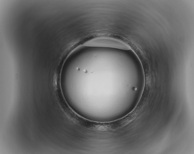 X0000116040115200911271206