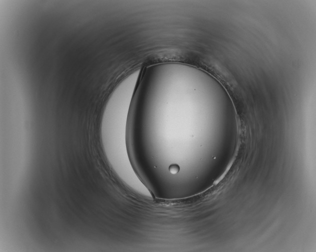 X0000116040117200911271206