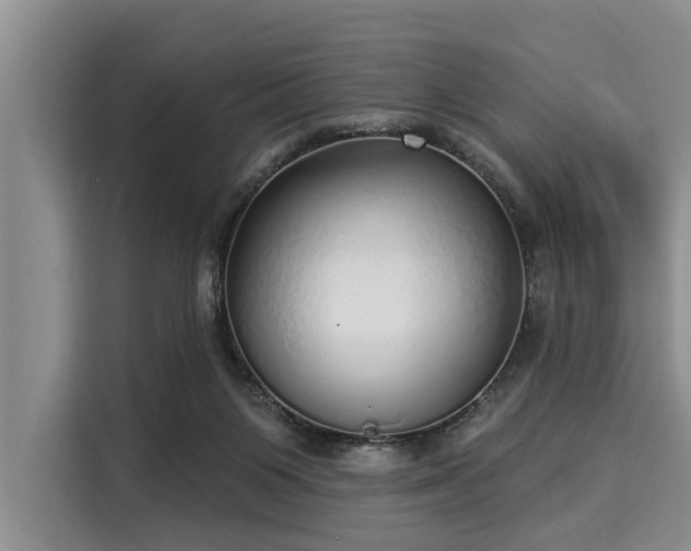 X0000116040119200911271206