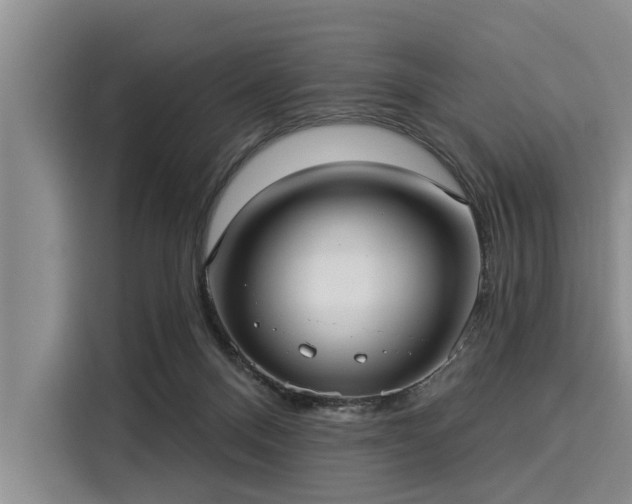 X0000116040120200911271206