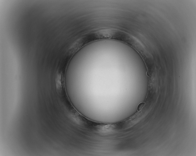 X0000116040122200911271206