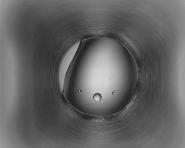 X0000116040124200911271206