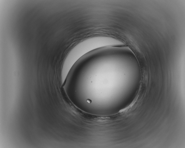 X0000116040128200911271206