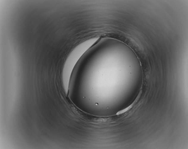 X0000116040129200911271206