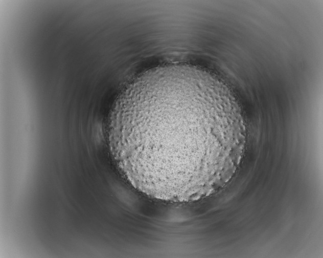 X0000116040130200911271206