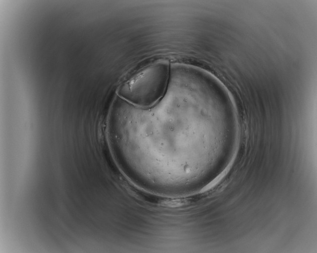 X0000116040131200911271206