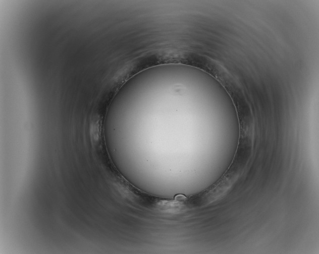 X0000116040133200911271205