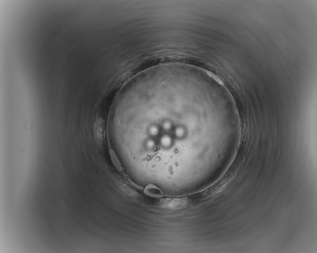 X0000116040135200911271205