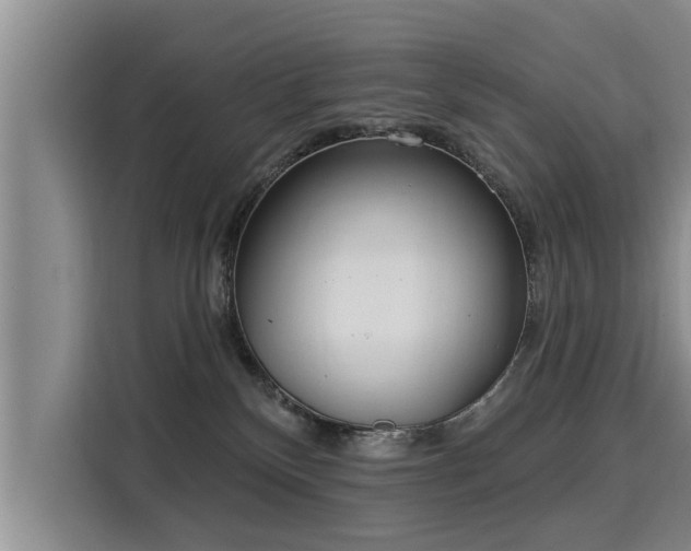 X0000116040136200911271205