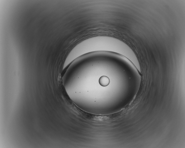 X0000116040137200911271205