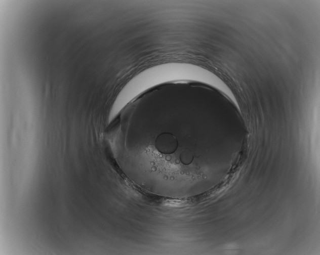 X0000116040139200911271205