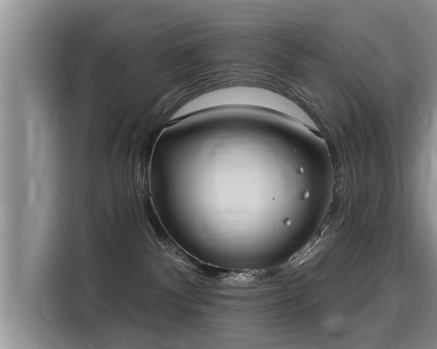 X0000116040140200911271205