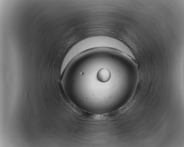 X0000116040141200911271205