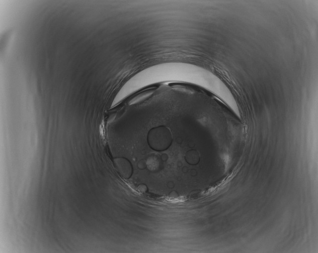 X0000116040143200911271205