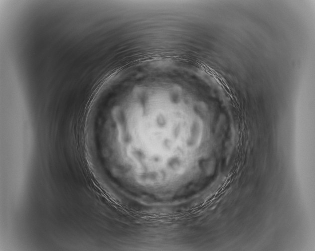 X0000116040145200911271205