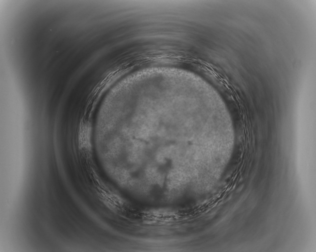 X0000116040146200911271205