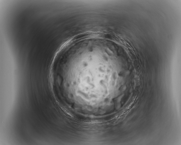 X0000116040149200911271205