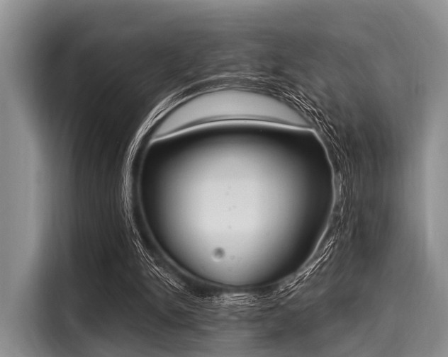 X0000116040150200911271205