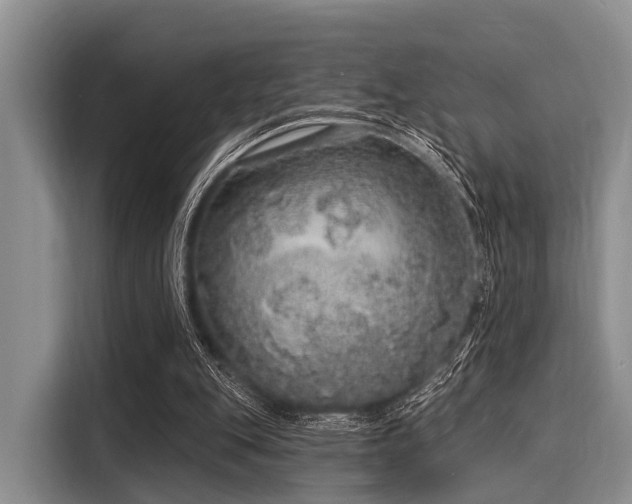 X0000116040151200911271205