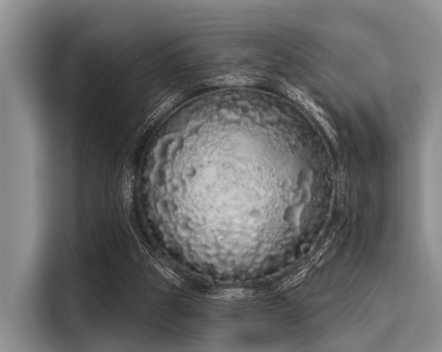 X0000116040153200911271205