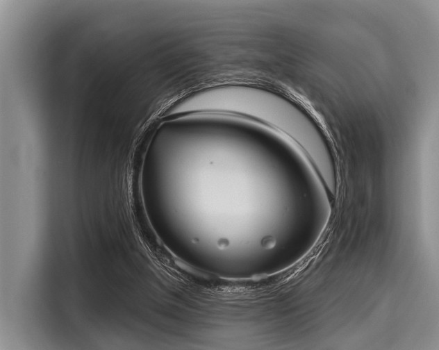 X0000116040154200911271205