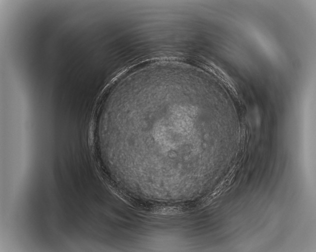 X0000116040155200911271205