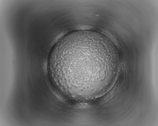 X0000116040159200911271205