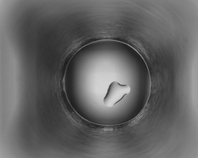 X0000116040162200911271205