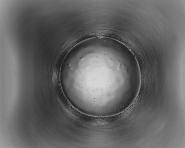 X0000116040166200911271205