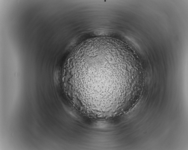 X0000116040171200911271205