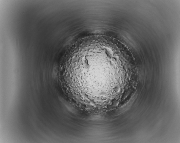 X0000116040175200911271205