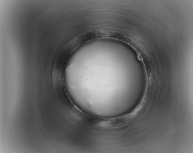 X0000116040178200911271205