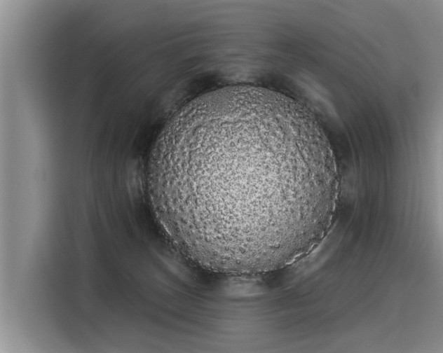 X0000116040179200911271205