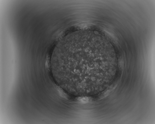 X0000116040181200911271205