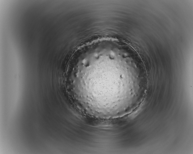 X0000116040182200911271205