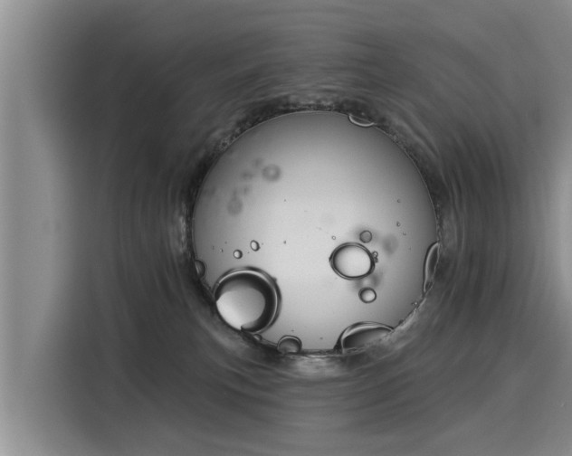 X0000116040183200911271205