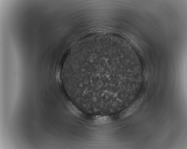 X0000116040185200911271205