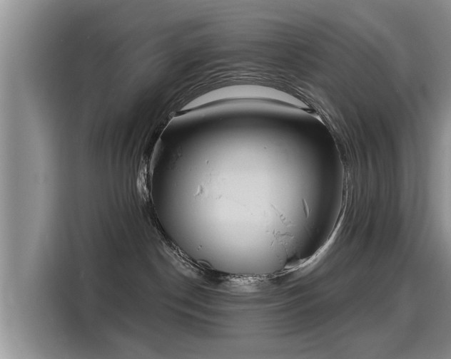 X0000116040190200911271205