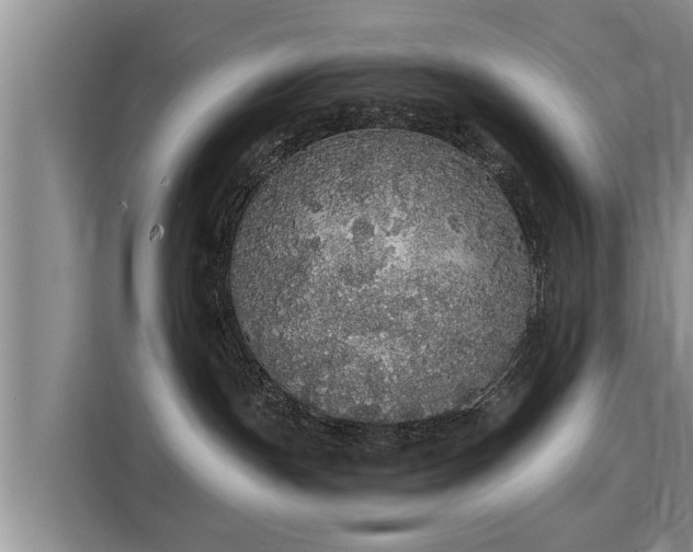 X0000116040191200911271205