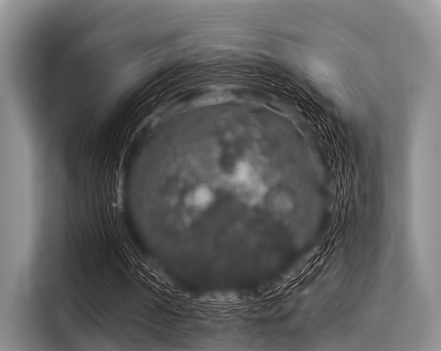 X0000116040194200911271205