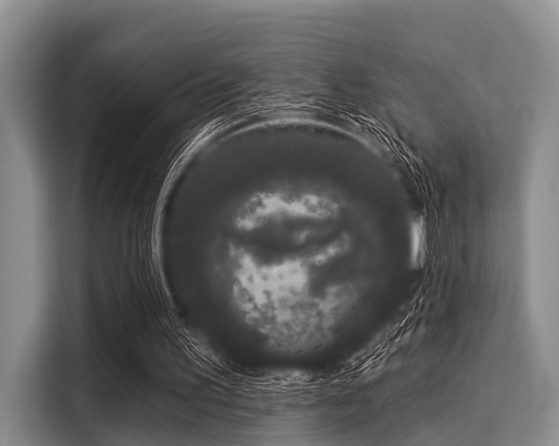 X0000116040195200911271205