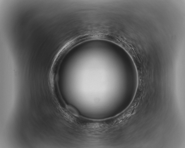 X0000116040197200911271205