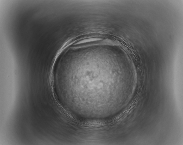 X0000116040198200911271205