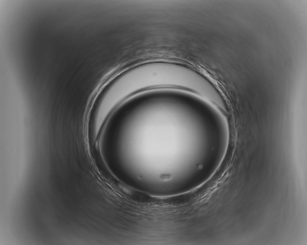 X0000116040199200911271205