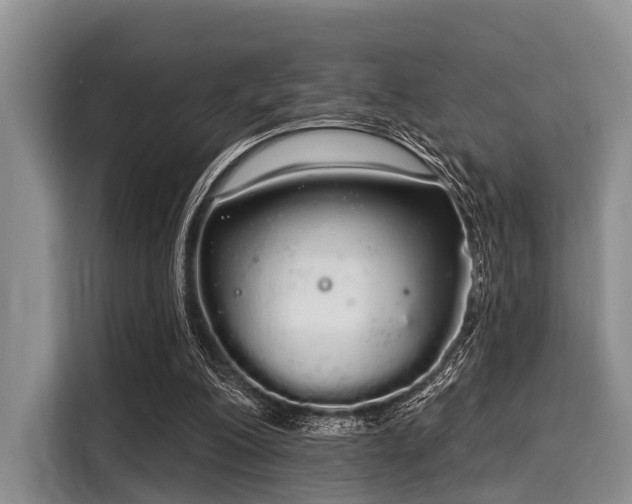 X0000116040200200911271205