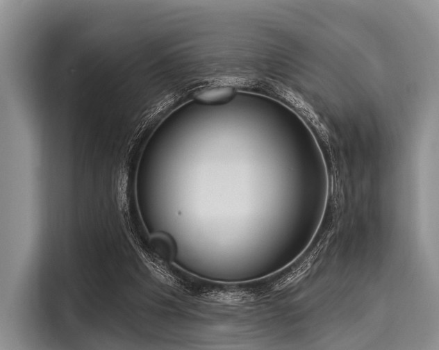 X0000116040201200911271205